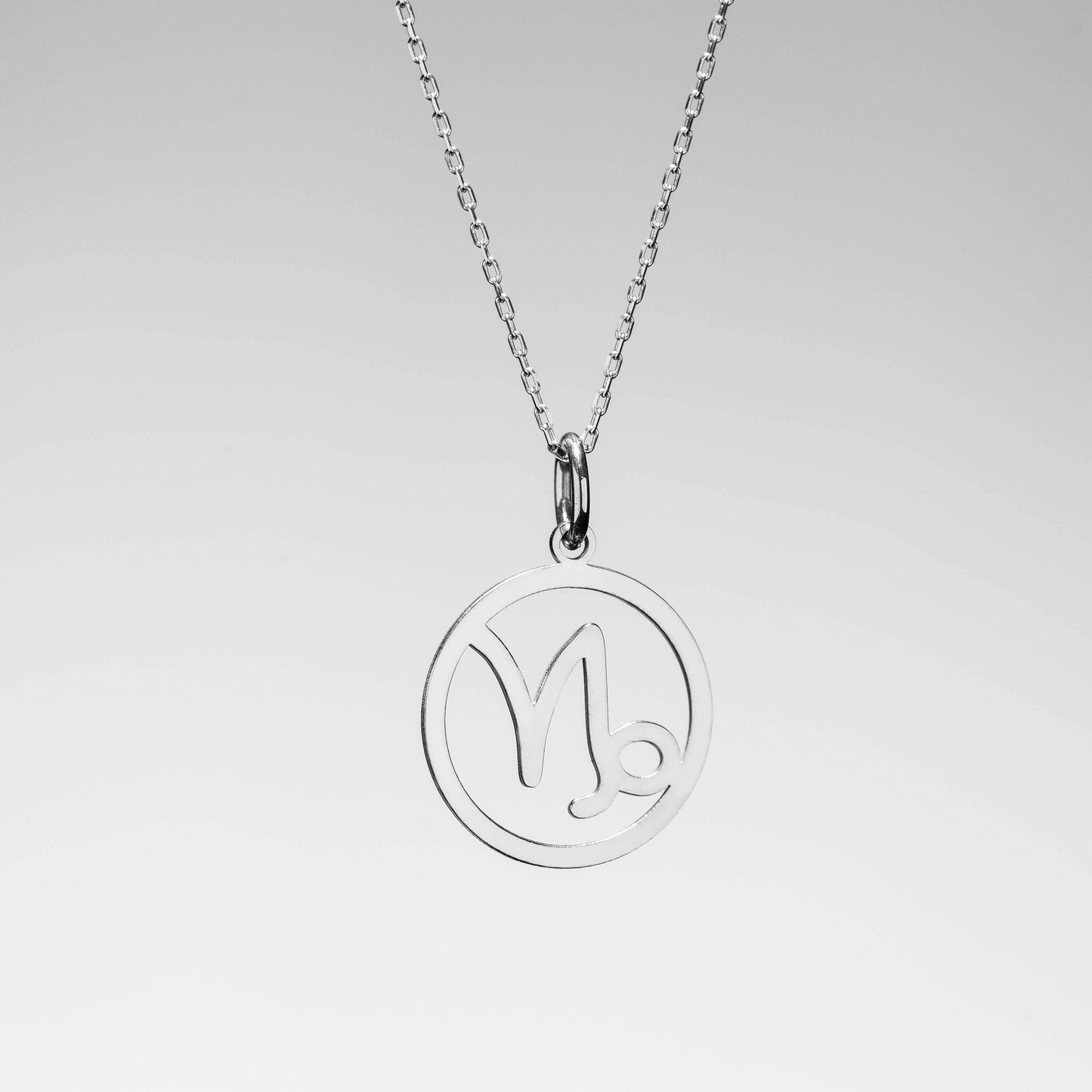 Stunning Solid Gold Capricorn Necklace,Zodiac Symbol Pendant,Gift for December Birthdays ,Capricorn Charm Necklace,Christmas Gift Necklace