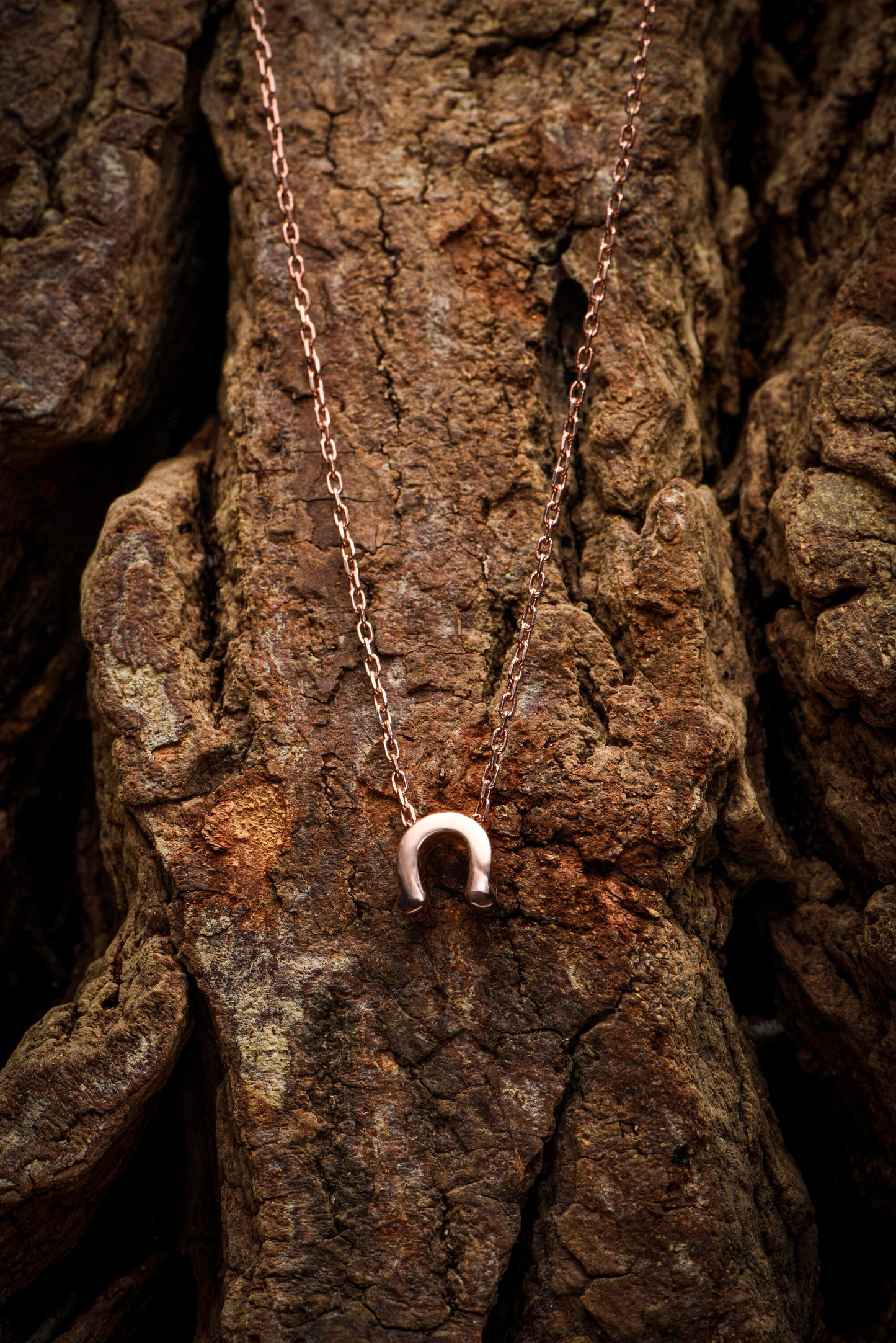 Elegant Horseshoe Necklace - 14K Rose Gold Layered Good Luck Charm,Birthday Gift Necklace,Lucky Symbol Necklace,Christmas Gift Necklace
