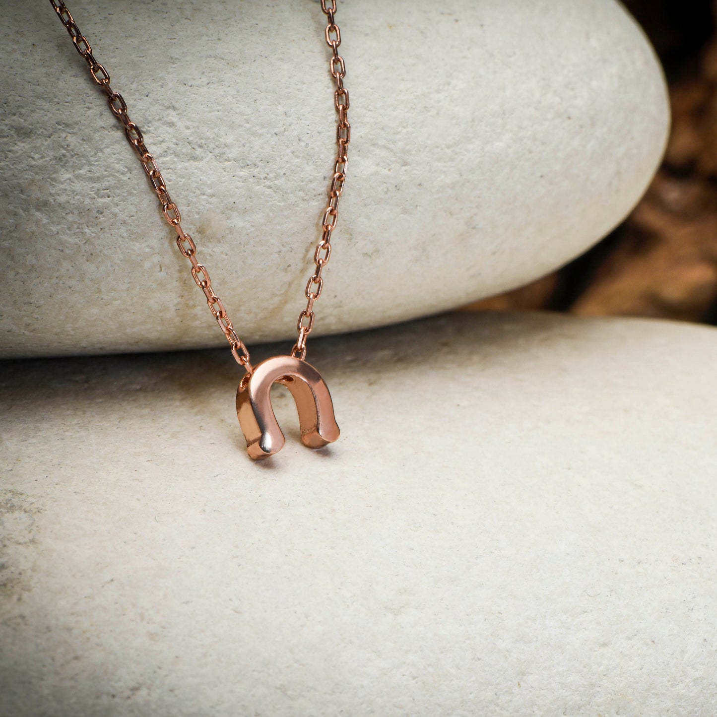 Elegant Horseshoe Necklace - 14K Rose Gold Layered Good Luck Charm,Birthday Gift Necklace,Lucky Symbol Necklace,Christmas Gift Necklace