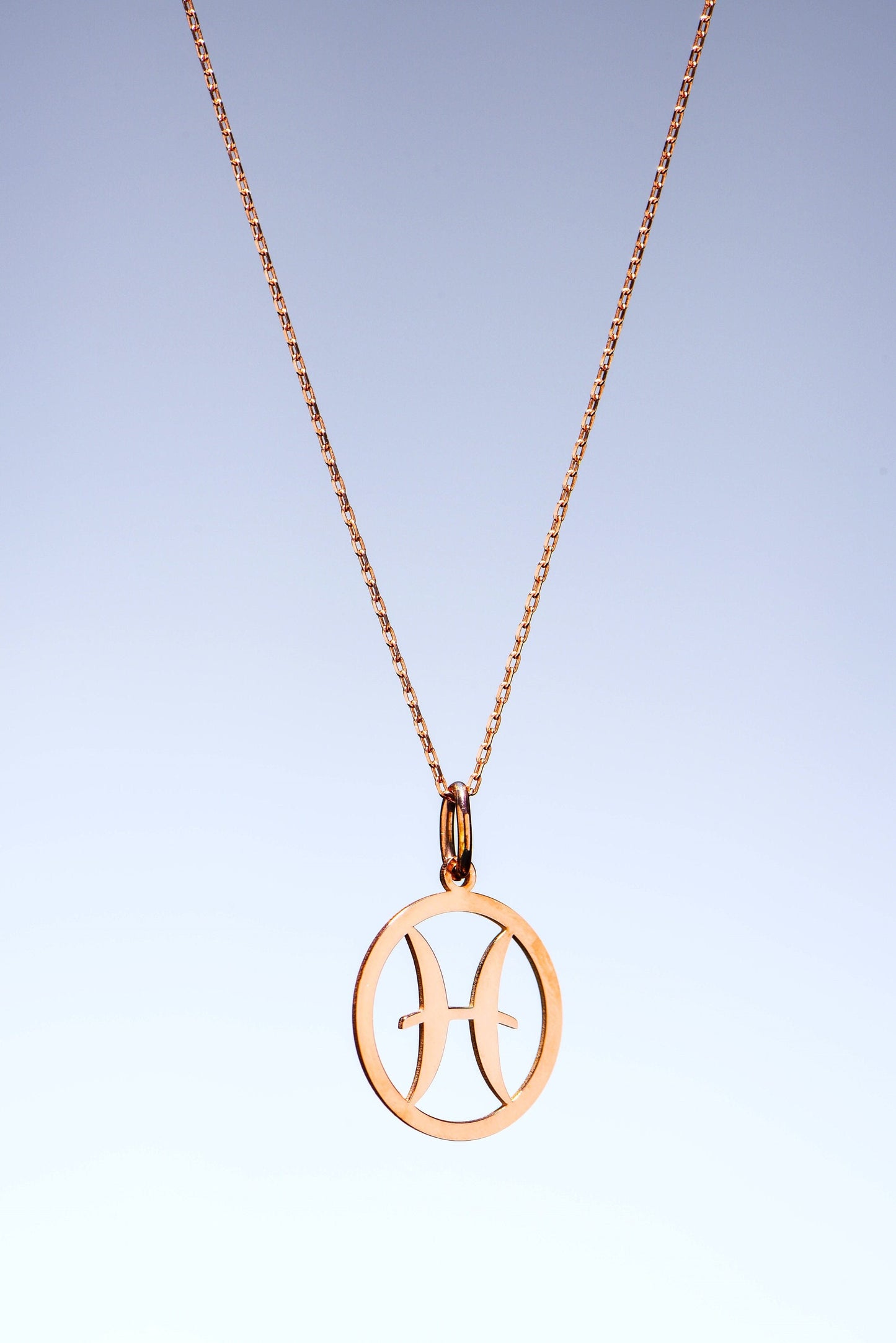 Gold Pisces Sign Necklace,Unique Zodiac Charm,Astrology Pendant for Her,Birthday Gift Necklace,Gift For Girlfriend,Birthday Gift Necklace
