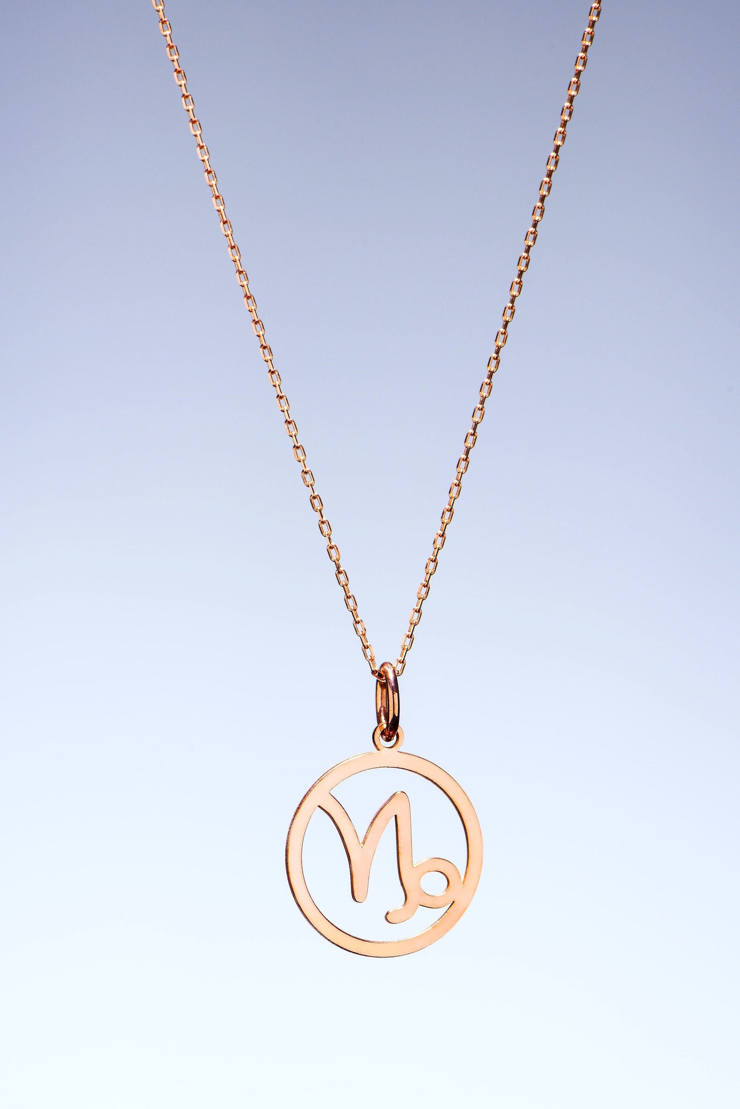 Stunning Solid Gold Capricorn Necklace,Zodiac Symbol Pendant,Gift for December Birthdays ,Capricorn Charm Necklace,Christmas Gift Necklace