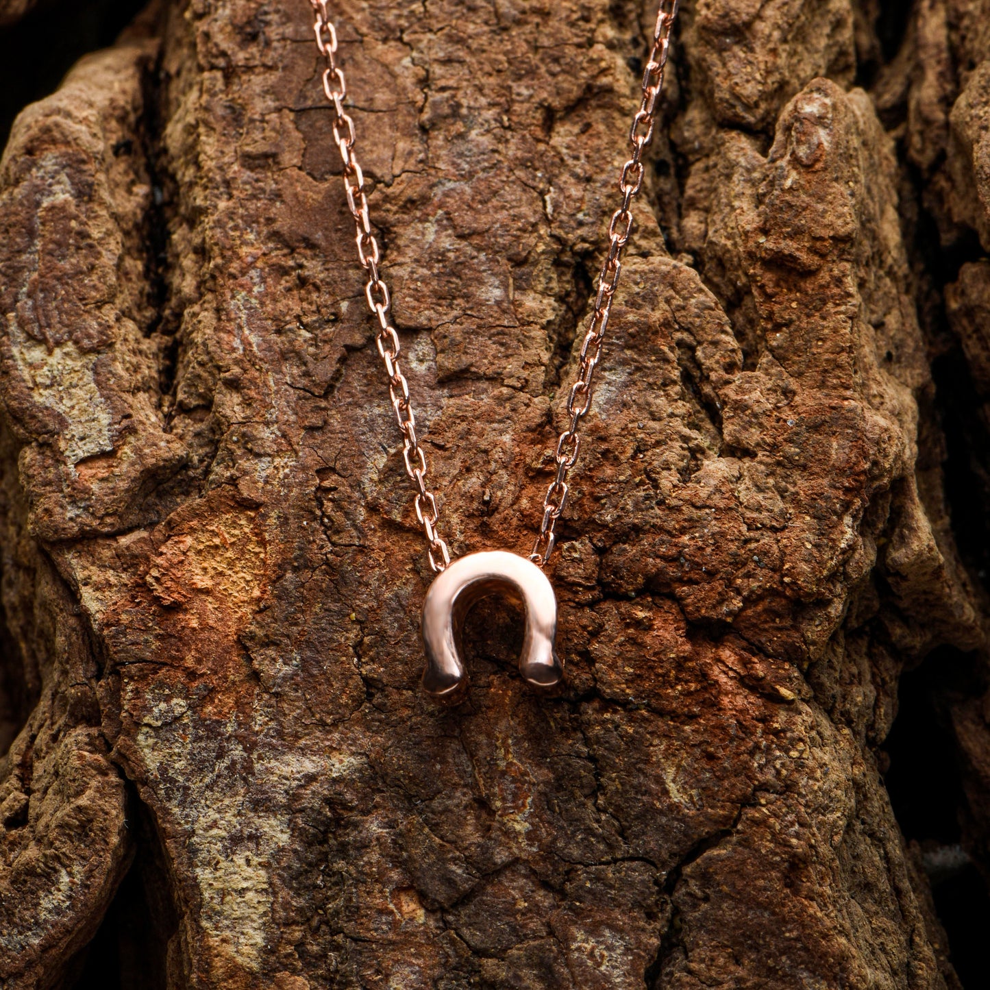Elegant Horseshoe Necklace - 14K Rose Gold Layered Good Luck Charm,Birthday Gift Necklace,Lucky Symbol Necklace,Christmas Gift Necklace